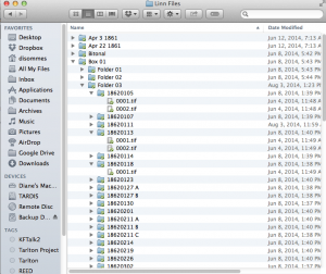 File structure of Linn documents returned from digitization house
